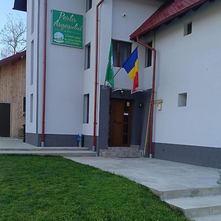 Perla Argesului, Ciubar, Piscina, Lift, Gratar, Cabana, Pensiuni, Hotel Cazare Transfagarasan Curtea De Arges Albestii de Arges ภายนอก รูปภาพ